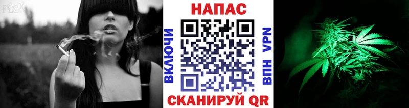 Бошки марихуана MAZAR купить сайты Мегион
